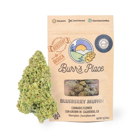 Blueberry Muffin | Quarter Oz